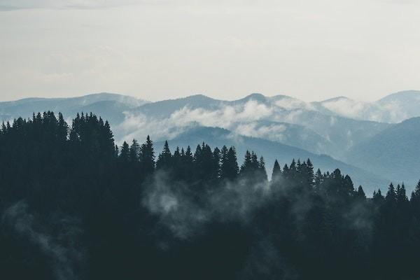 中信信用卡分期有没宽限期？分期内还款算逾期吗？
