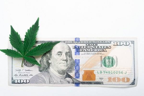 白条怎么处理逾期还款
