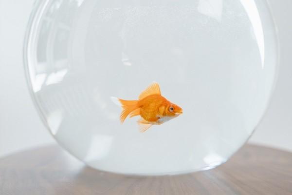 360借条还款入口没有怎么办，逾期会有什么影响