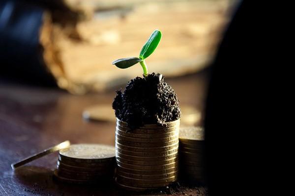 网商贷逾期15天没上信用吗？逾期两年了暂时还不上怎么办？