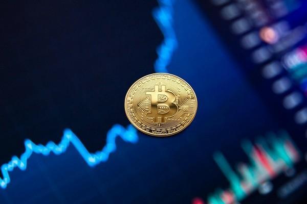 京东白条手机分期12期免息影响信用吗？能提前还吗？