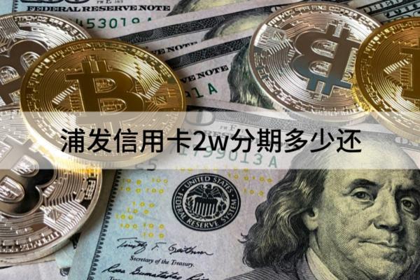 浦发信用卡2w分期多少还
