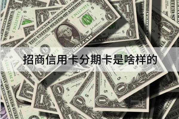 招商信用卡分期卡是啥样的？使用e招贷要注意什么？
