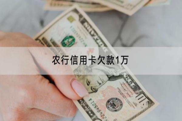 农行信用卡欠款1万会不会被起诉？还不上怎么办？