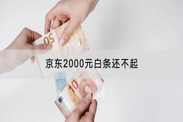 京东2000元白条还不起会怎么样？应该怎么办？
