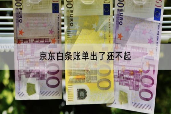 京东白条账单出了还不起怎么办？逾期还不上如何处理？