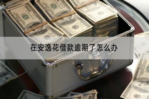 在安逸花借款逾期了怎么办