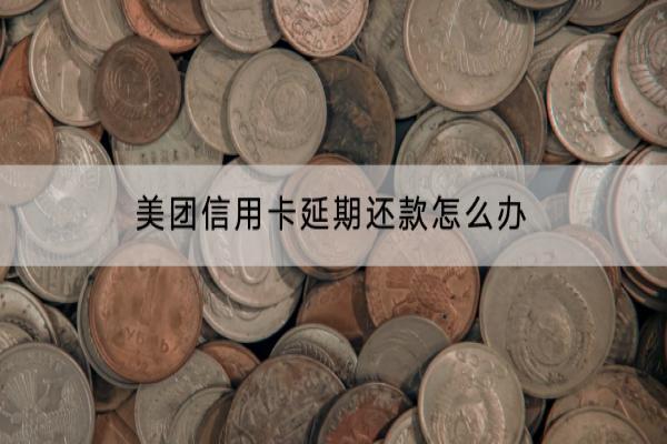 美团信用卡延期还款怎么办