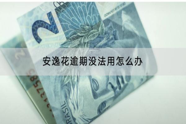 安逸花逾期没法用怎么办？逾期多少会被起诉？