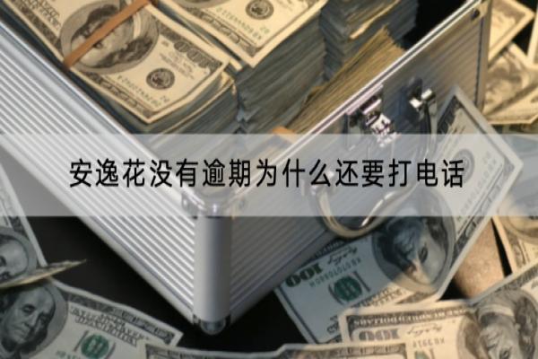 安逸花没有逾期为什么还要打电话？逾期的后果有哪些？
