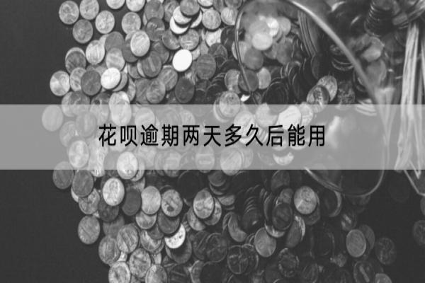 花呗逾期两天多久后能用