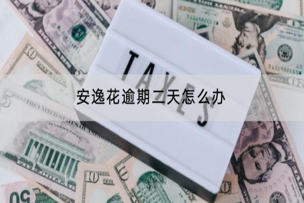 安逸花逾期二天怎么办