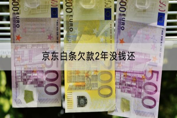 京东白条欠款2年没钱还会被起诉吗？被起诉了怎么办？