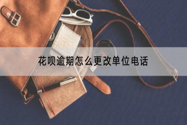 花呗逾期怎么更改单位电话