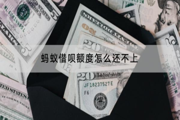 蚂蚁借呗额度怎么还不上？逾期会怎么样？