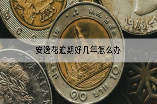 安逸花逾期好几年怎么办？还会被起诉吗？
