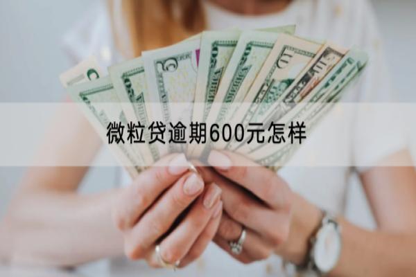 微粒贷逾期600元怎样？还不起怎么办？