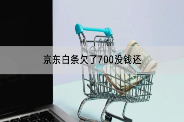 京东白条欠了700没钱还