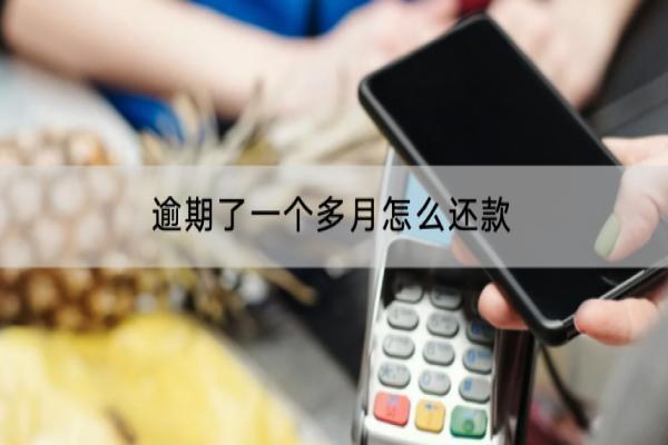 逾期了一个多月怎么还款？要给罚息吗？