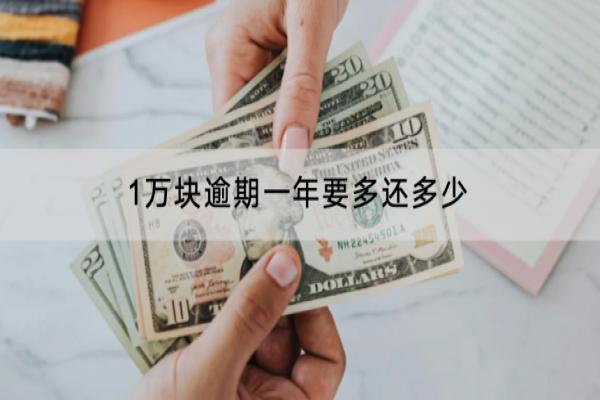 1万块逾期一年要多还多少？会不会坐牢？