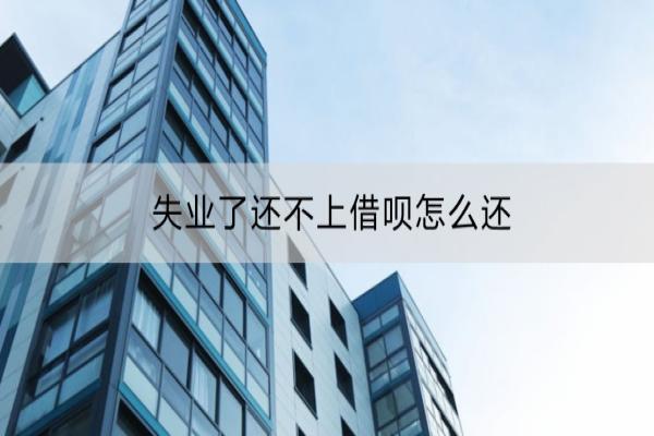 失业了还不上借呗怎么还