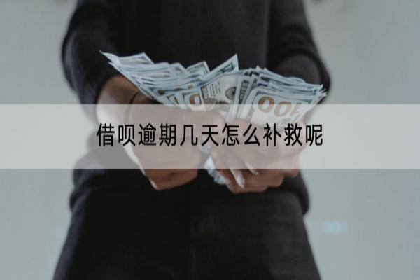 借呗逾期几天怎么补救呢？逾期多久会被催收？