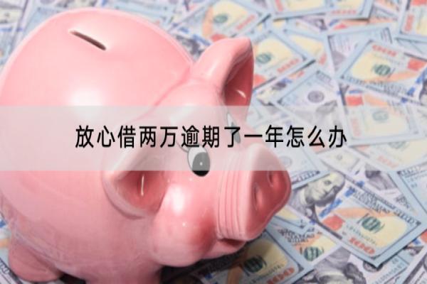 放心借两万逾期了一年怎么办？逾期了一年有什么后果？
