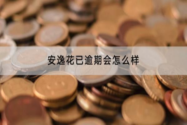 安逸花已逾期会怎么样