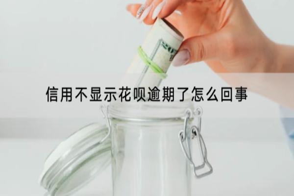 信用不显示花呗逾期了怎么回事？信用受损有什么影响？
