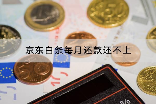 京东白条每月还款还不上怎么办？还不上会有什么后果？