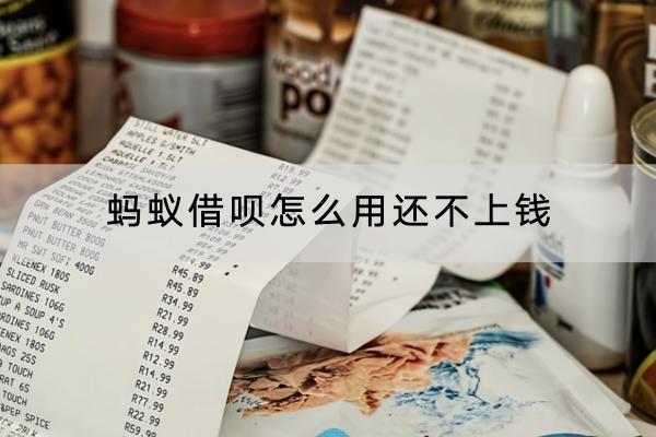 蚂蚁借呗怎么用还不上钱？还不上的后果是什么？