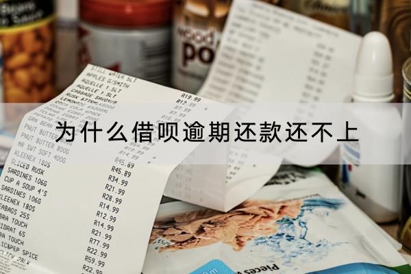 为什么借呗逾期还款还不上？逾期有哪些后果？