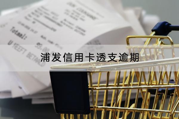 浦发信用卡透支逾期