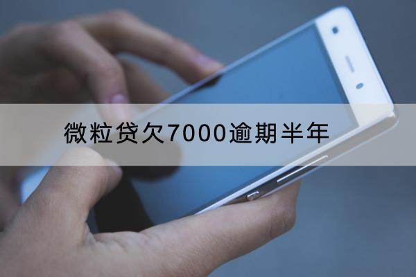 微粒贷欠7000逾期半年要支付多少罚息？会被起诉吗？