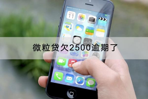 微粒贷欠2500逾期了后果严重吗？会不会被催收？
