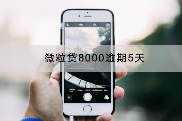 微粒贷8000逾期5天有影响吗？要支付多少罚息？