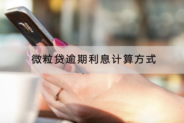 微粒贷逾期利息计算方式是怎样的？能不能减免利息？