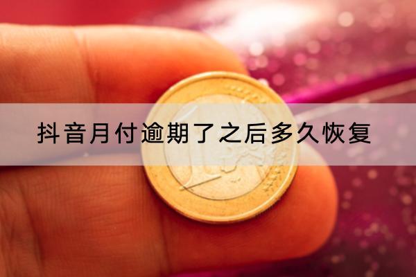 抖音月付逾期了之后多久恢复？逾期了要支付多少罚息？