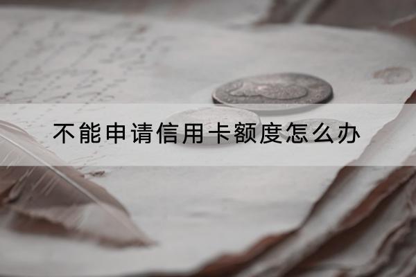 不能申请信用卡额度怎么办？额度可以提高吗？