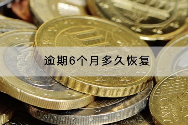 逾期6个月多久恢复？会不会被起诉？