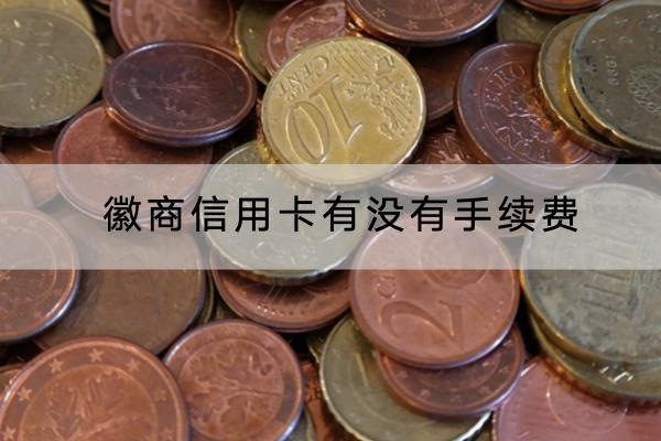 徽商信用卡有没有手续费？可不可以分期还？