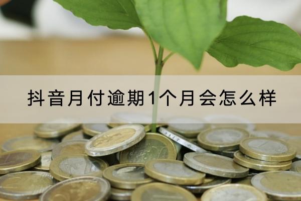 抖音月付逾期1个月会怎么样？会上门催收吗？