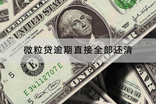 微粒贷逾期直接全部还清