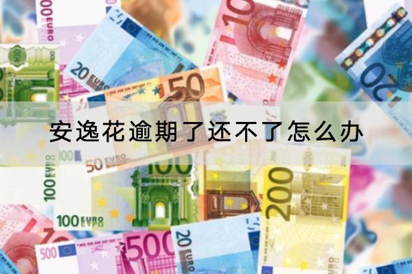 安逸花逾期了还不了怎么办