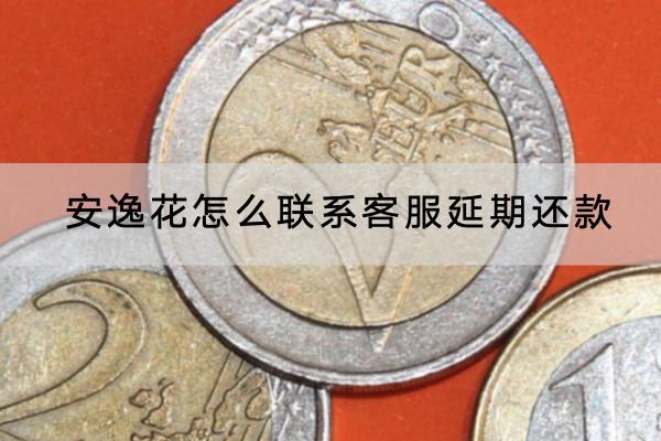 安逸花怎么联系客服延期还款