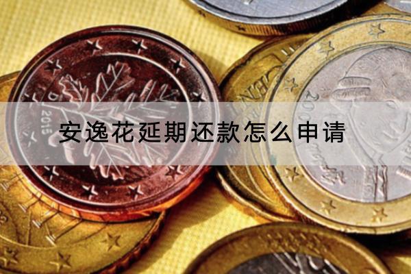 安逸花延期还款怎么申请