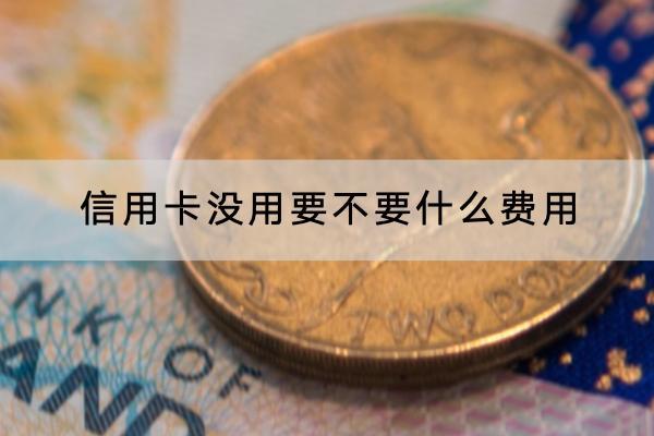 信用卡没用要不要什么费用？没用额度会提升吗？