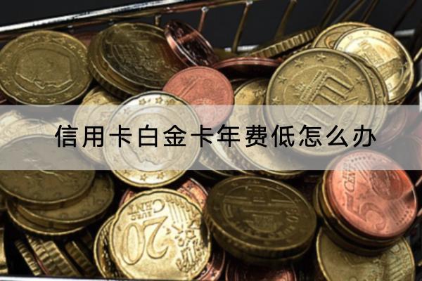 信用卡白金卡年费低怎么办？年费怎么缴纳？