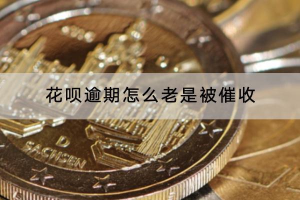 花呗逾期怎么老是被催收