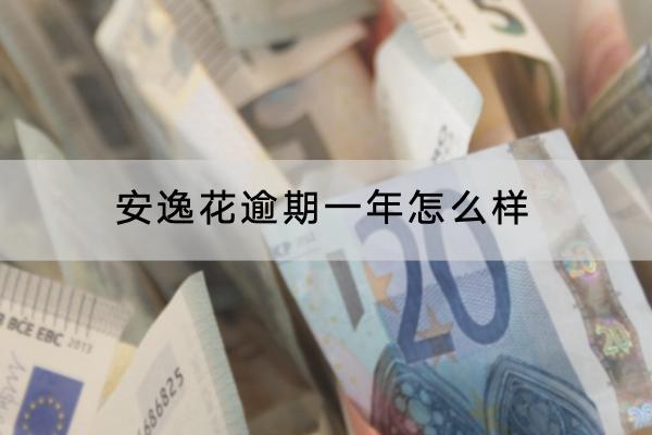 安逸花逾期一年怎么样？逾期不还会不会坐牢？